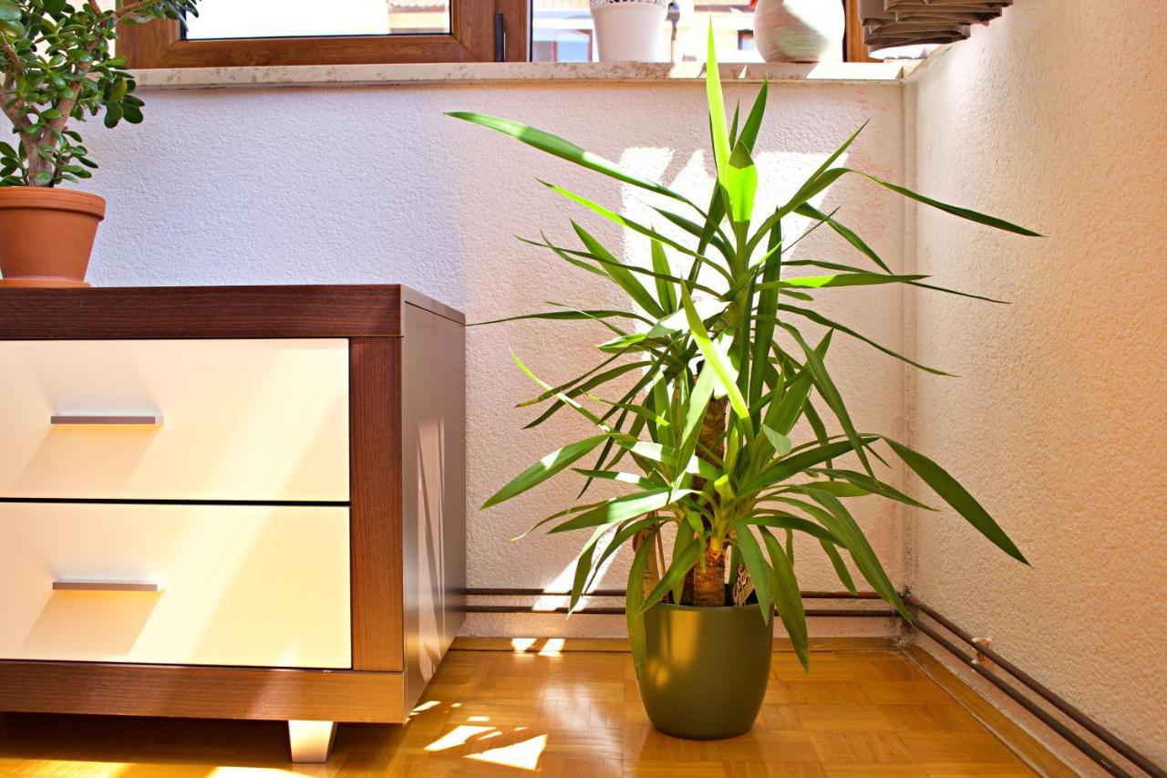 Apartments Kanegra Umag Zewnętrze zdjęcie